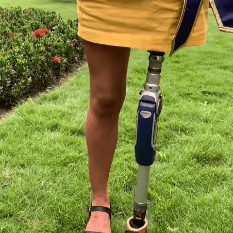 厄瓜多尔击剑选手表现抢眼，夺得铜牌的简单介绍